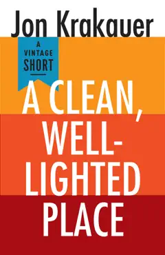a clean, well-lighted place book cover image