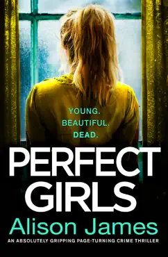 perfect girls book cover image
