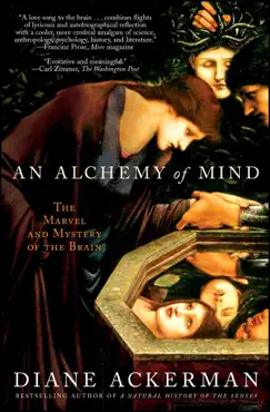 an alchemy of mind book cover image