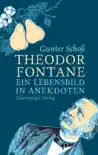 Theodor Fontane sinopsis y comentarios