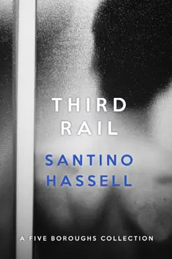 third rail book cover image