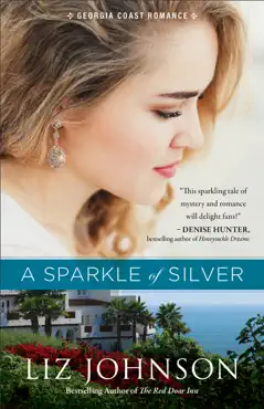 sparkle of silver book cover image