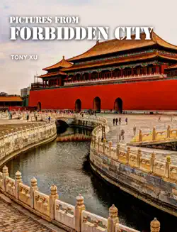 pictures from forbidden city book cover image