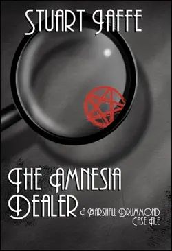 the amnesia dealer book cover image