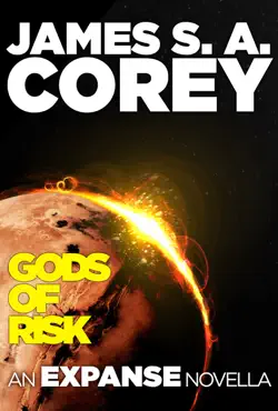 gods of risk book cover image