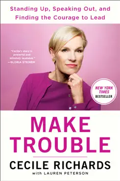 make trouble book cover image