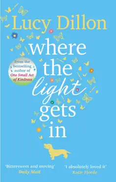 where the light gets in imagen de la portada del libro