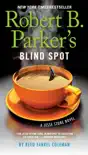 Robert B. Parker's Blind Spot sinopsis y comentarios