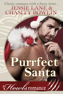 purrfect santa book cover image