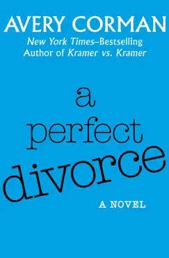 a perfect divorce book cover image