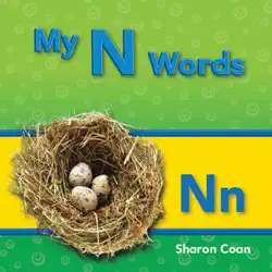 my n words book cover image