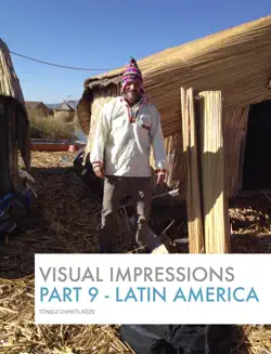 visual impressions - part 9 - latin america book cover image