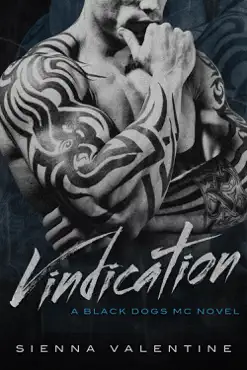 vindication - book three book cover image