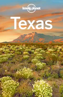 texas travel guide book cover image