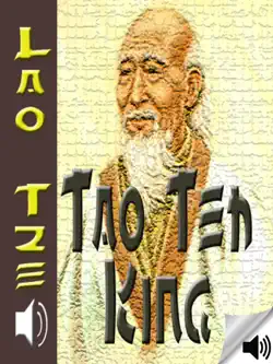 tao teh king imagen de la portada del libro