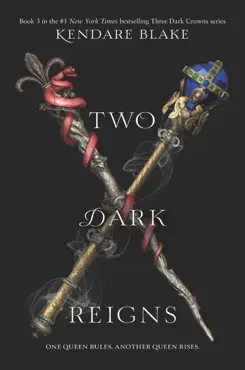 two dark reigns book cover image