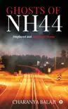 Ghosts of NH44 synopsis, comments