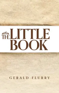 the little book book cover image