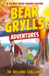 A Bear Grylls Adventure 7: The Volcano Challenge sinopsis y comentarios