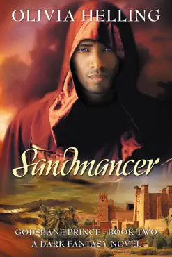 sandmancer book cover image