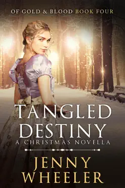 tangled destiny - a christmas novella book cover image