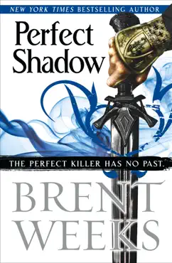 perfect shadow book cover image