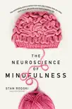 The Neuroscience of Mindfulness synopsis, comments