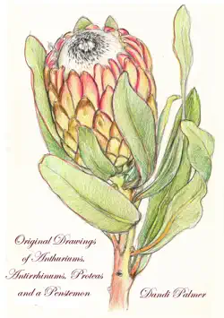 original drawings of anthuriums, antirrhinums, proteas and a penstemon book cover image