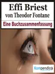 Effi Briest von Theodor Fontane sinopsis y comentarios