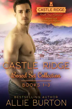 castle ridge book cover image
