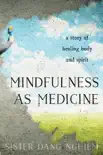 Mindfulness as Medicine synopsis, comments