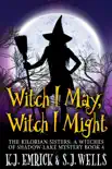 Witch I May, Witch I Might e-book