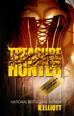 treasure hunter book cover image