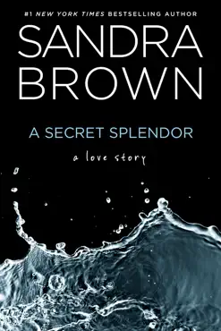 a secret splendor book cover image