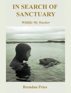 in search of sanctuary book cover image