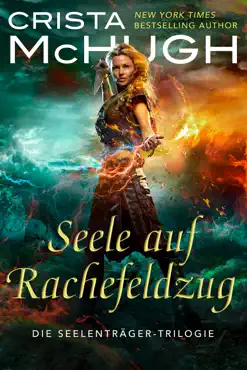 seele auf rachefeldzug book cover image