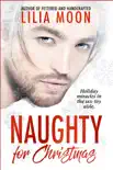 Naughty for Christmas synopsis, comments