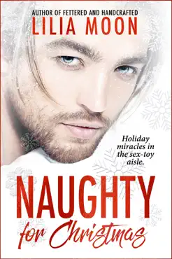 naughty for christmas book cover image