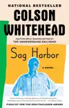Sag Harbor synopsis, comments