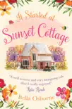 It Started at Sunset Cottage synopsis, comments