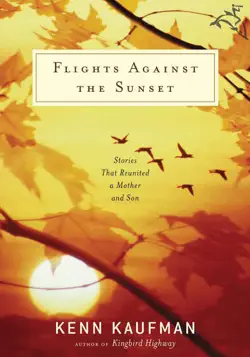 flights against the sunset book cover image