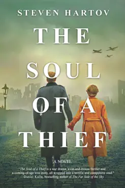 the soul of a thief book cover image