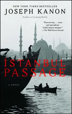 istanbul passage book cover image