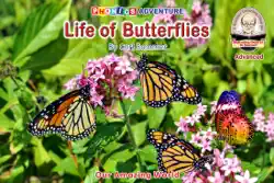 life of butterflies book cover image
