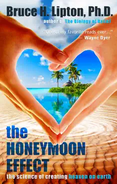the honeymoon effect book cover image