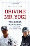 Driving Mr. Yogi synopsis, comments
