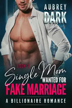 single mom wanted for fake marriage - book two book cover image