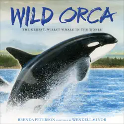 wild orca book cover image