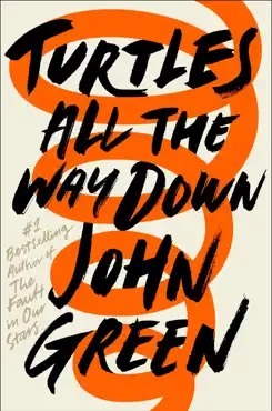 turtles all the way down book cover image