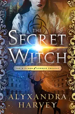 the secret witch book cover image
